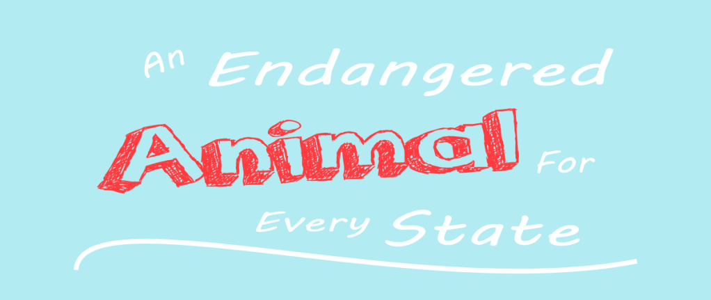 An Endangered Animal For Every State